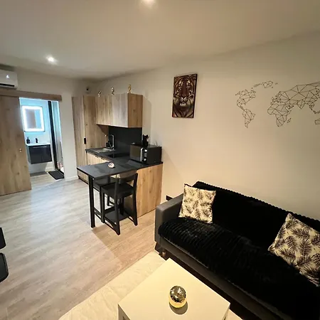 Loumea - Le Loft Avec Jacuzzi Friesenheim