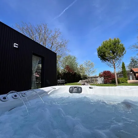 Loumea - Le Loft Avec Jacuzzi Friesenheim